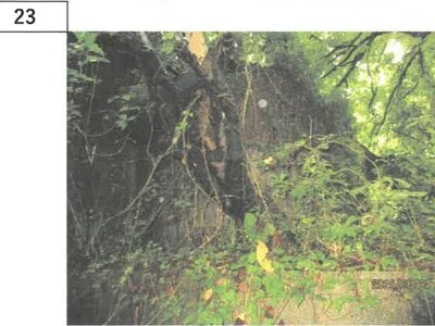 (値下げ) 徳島県吉野川市 阿波山川駅18分 戸建て 170万円の競売物件 #17