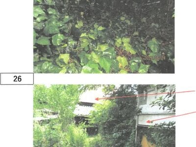 (値下げ) 徳島県吉野川市 阿波山川駅18分 戸建て 170万円の競売物件 #19