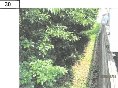 (値下げ) 徳島県吉野川市 阿波山川駅18分 戸建て 170万円の競売物件 #22