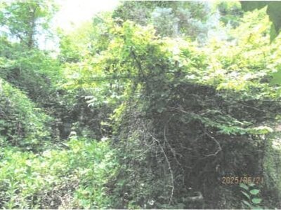 (値下げ) 徳島県吉野川市 阿波山川駅18分 戸建て 170万円の競売物件 #4