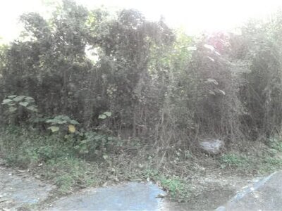 (値下げ) 徳島県吉野川市 鴨島駅19分 戸建て 487万円の競売物件 #18