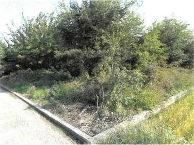 (値下げ) 徳島県吉野川市 鴨島駅19分 戸建て 487万円の競売物件 #20