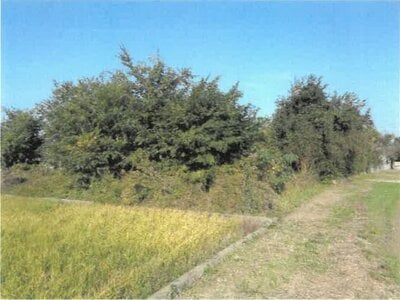 (値下げ) 徳島県吉野川市 鴨島駅19分 戸建て 487万円の競売物件 #21