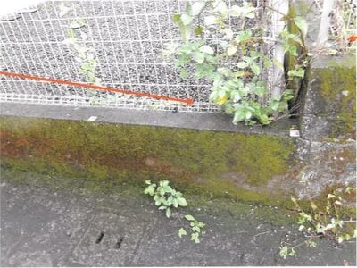 宮崎県都城市 五十市駅7分 土地 345万円の競売物件 #20