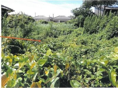 宮崎県都城市 五十市駅7分 土地 345万円の競売物件 #3