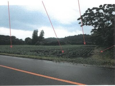 宮崎県都城市 日向前田駅30分 農地 142万円の競売物件 #10