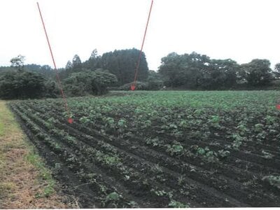 宮崎県都城市 日向前田駅30分 農地 142万円の競売物件 #11