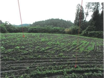 宮崎県都城市 日向前田駅30分 農地 142万円の競売物件 #12