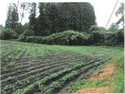 宮崎県都城市 日向前田駅30分 農地 142万円の競売物件 #13