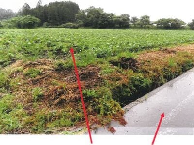 宮崎県都城市 日向前田駅30分 農地 142万円の競売物件 #2