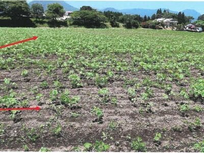 宮崎県都城市 日向前田駅30分 農地 142万円の競売物件 #3