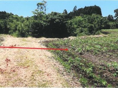 宮崎県都城市 日向前田駅30分 農地 142万円の競売物件 #4