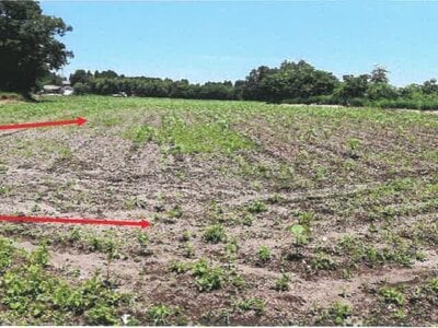 宮崎県都城市 日向前田駅30分 農地 142万円の競売物件 #7