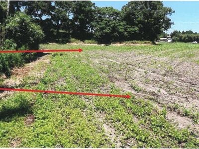 宮崎県都城市 日向前田駅30分 農地 142万円の競売物件 #8