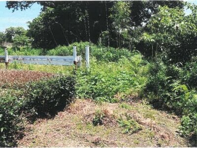 宮崎県都城市 日向前田駅 農地 223万円の競売物件 #13