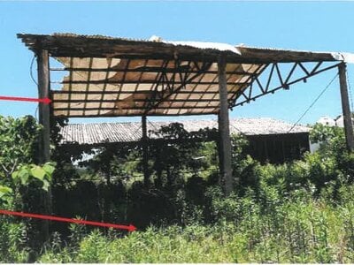 宮崎県都城市 日向前田駅 農地 223万円の競売物件 #21