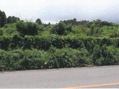 宮崎県都城市 日向前田駅 農地 223万円の競売物件 #24