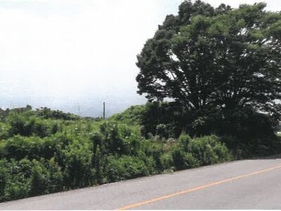 宮崎県都城市 日向前田駅 農地 223万円の競売物件 #25