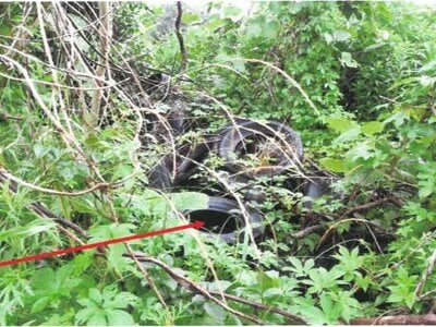 宮崎県都城市 日向前田駅 農地 223万円の競売物件 #26