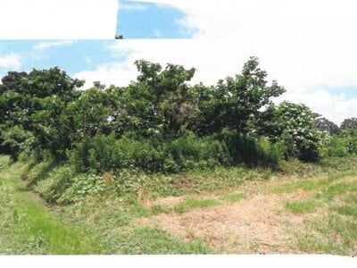 宮崎県都城市 日向前田駅 農地 223万円の競売物件 #27