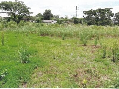 宮崎県都城市 日向前田駅 農地 223万円の競売物件 #3