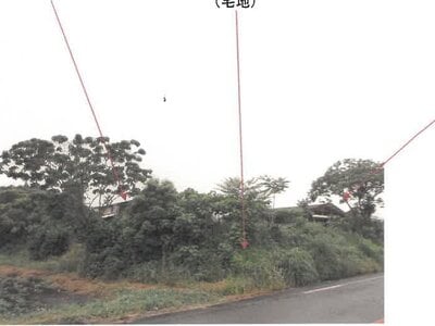 宮崎県都城市 日向前田駅 農地 223万円の競売物件 #32