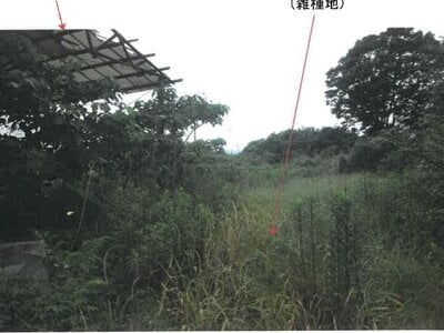 宮崎県都城市 日向前田駅 農地 223万円の競売物件 #33