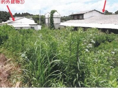 宮崎県都城市 日向前田駅 農地 223万円の競売物件 #4