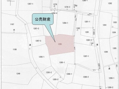 (値下げ) 和歌山県紀の川市 貴志駅 土地 93万円の国税庁公売物件 #2