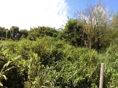 滋賀県大津市 ケーブル坂本駅5分 土地 228万円の国税庁公売物件 #2