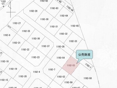大阪府四條畷市 忍ヶ丘駅11分 土地 528万円の国税庁公売物件 #3