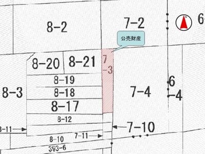 大阪府大東市 住道駅9分 土地 763万円の国税庁公売物件 #2