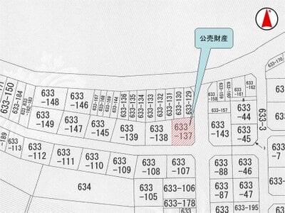 大阪府羽曳野市 高鷲駅21分 戸建て 775万円の国税庁公売物件 #3