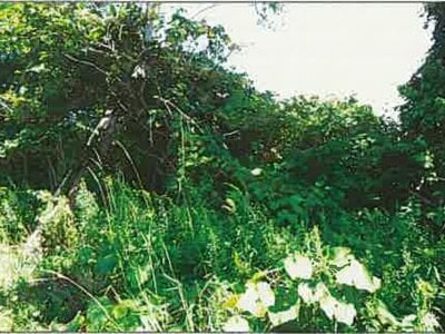 北海道江別市 大麻駅 土地 21万円の競売物件 #2