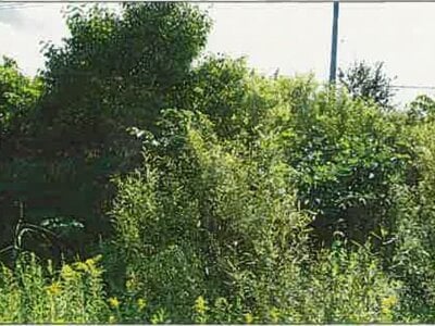 北海道江別市 大麻駅 土地 21万円の競売物件 #3