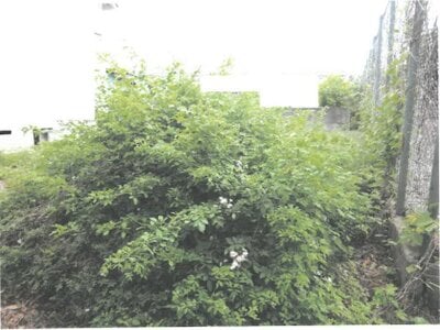 (値下げ) 茨城県桜川市 筑波山頂駅 土地 28万円の競売物件 #2