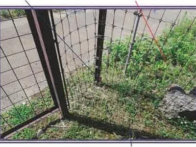 山梨県南都留郡山中湖村 農地 9万円の競売物件 #14