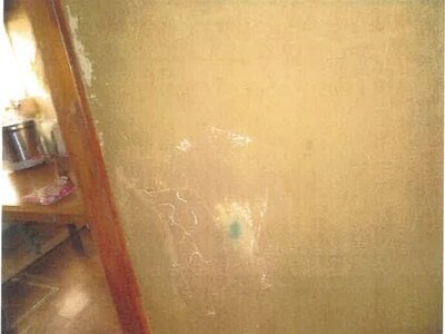 大阪府松原市 八尾南駅17分 戸建て 375万円の競売物件 #5