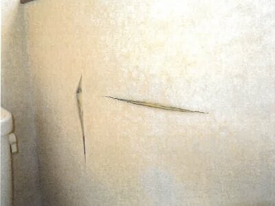 大阪府松原市 河内松原駅14分 戸建て 343万円の競売物件 #6