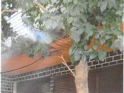 大阪府堺市西区 浜寺公園駅11分 戸建て 447万円の競売物件 #3