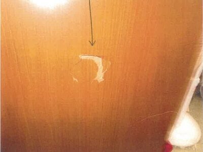 大阪府堺市美原区 北野田駅24分 戸建て 641万円の競売物件 #8