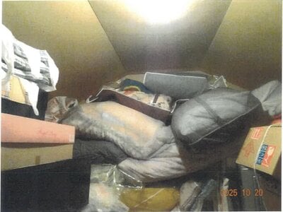 大阪府堺市中区 深井駅16分 戸建て 1,427万円の競売物件 #11