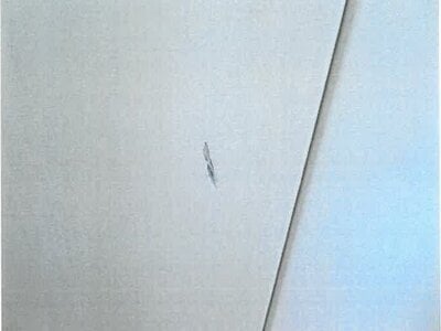 大阪府堺市東区 初芝駅16分 戸建て 677万円の競売物件 #6