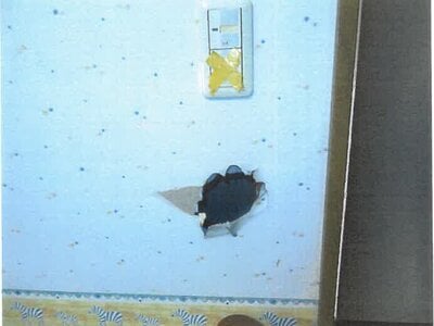 大阪府南河内郡太子町 上ノ太子駅22分 戸建て 464万円の競売物件 #10