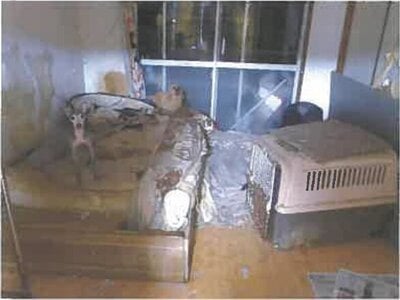 広島県呉市 呉駅 戸建て 1,126万円の競売物件 #20