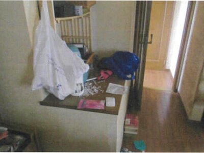 千葉県鎌ケ谷市 北初富駅14分 戸建て 517万円の競売物件 #12