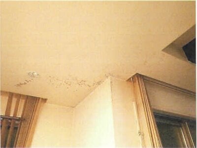 千葉県柏市 我孫子駅 戸建て 1,525万円の競売物件 #8