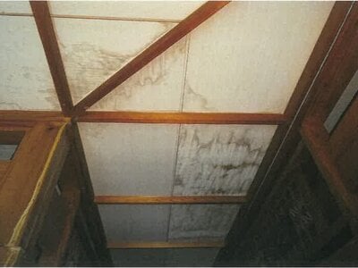 沖縄県国頭郡伊江村 戸建て 874万円の競売物件 #8