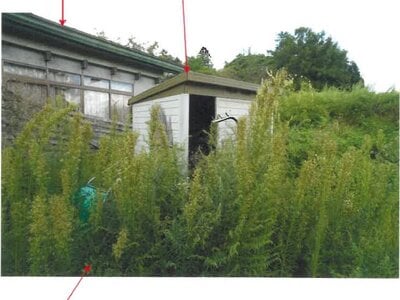 青森県弘前市 鶴泊駅 戸建て 73万円の競売物件 #4