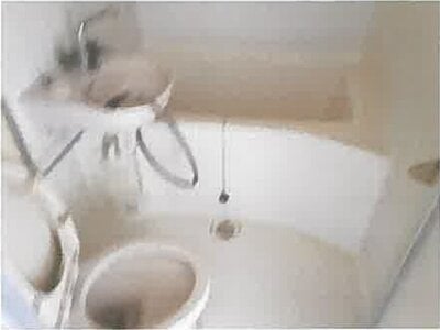 埼玉県川越市 霞ヶ関駅8分 戸建て 2,298万円の競売物件 #19